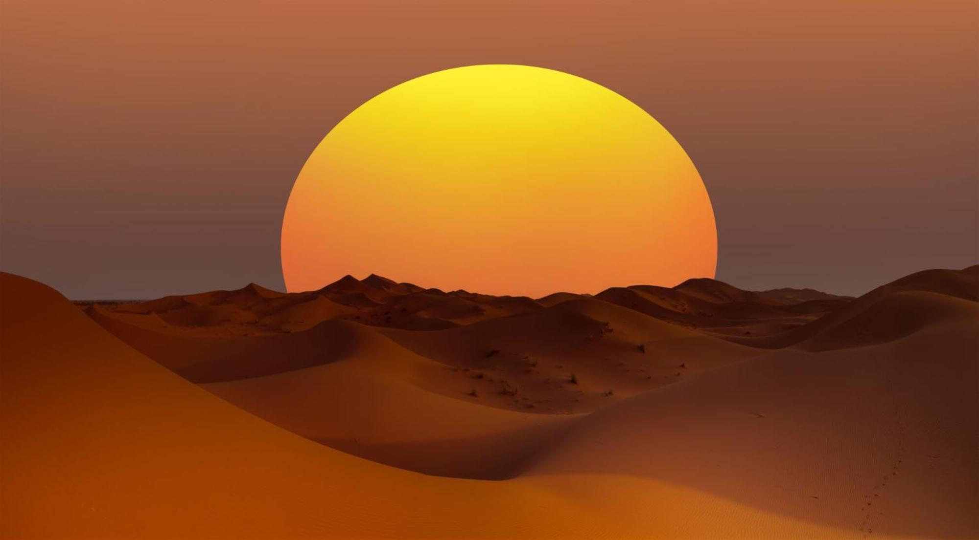 Desert Camel Trek Merzouga Exterior photo