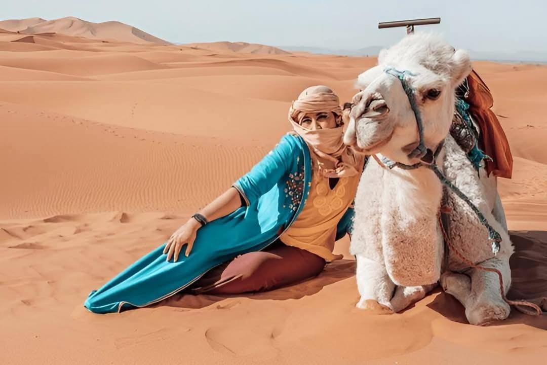 Desert Camel Trek Merzouga Exterior photo